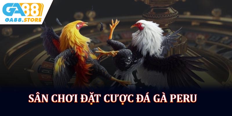 Đá Gà Peru - Sân Chơi Đặt Cược Hấp Dẫn 